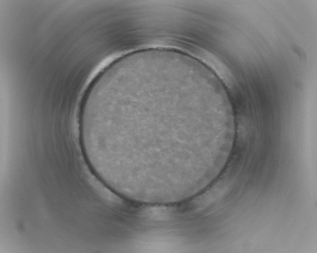 X0000115310950200911231326