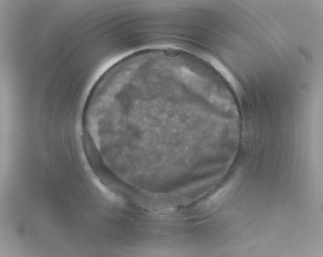 X0000115310951200911231326