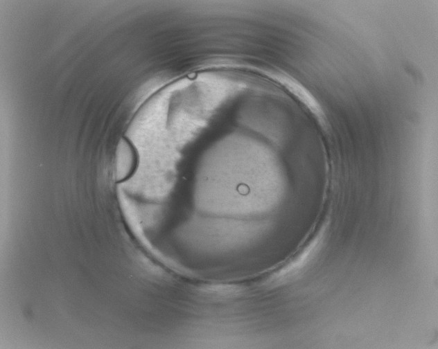 X0000115310953200911231327