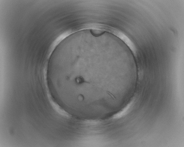 X0000115310954200911231327