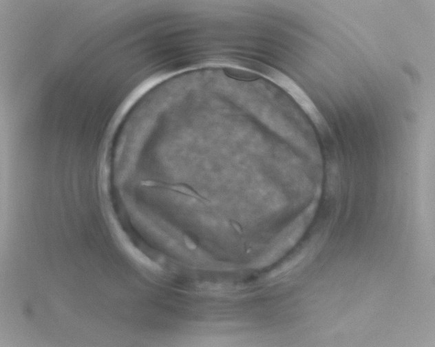 X0000115310955200911231327