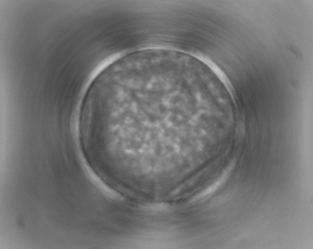 X0000115310957200911231327