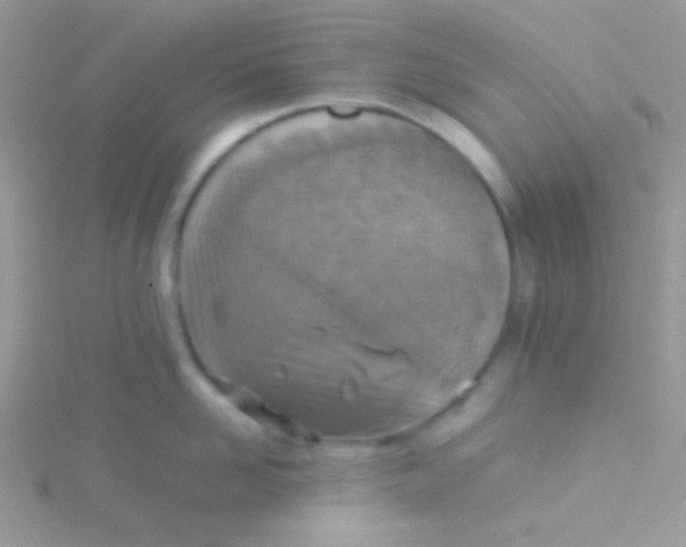 X0000115310958200911231327