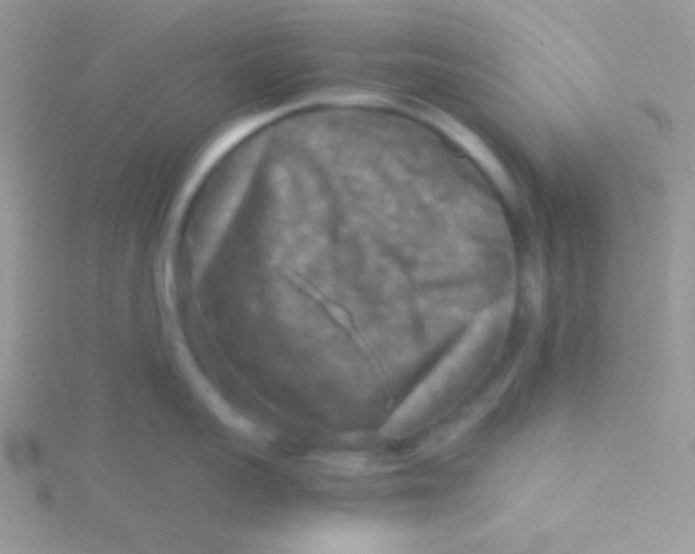 X0000115310959200911231327