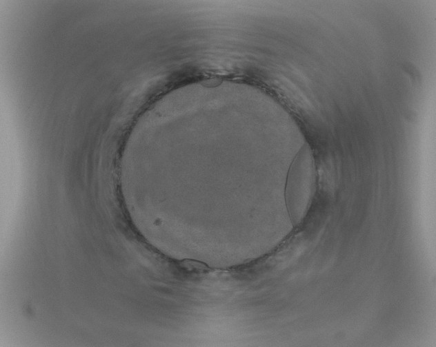 X0000115310961200911231326