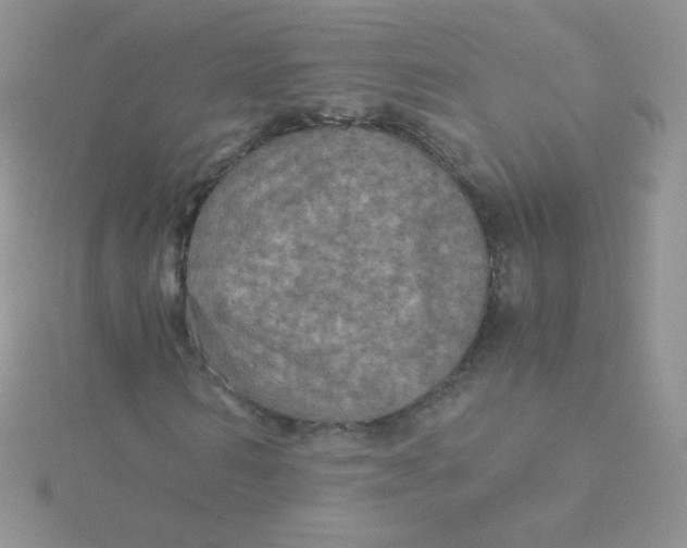 X0000115310962200911231326