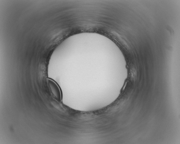 X0000115310964200911231326