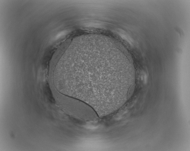 X0000115310965200911231326