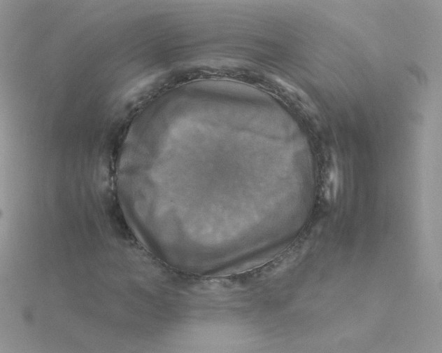 X0000115310966200911231326