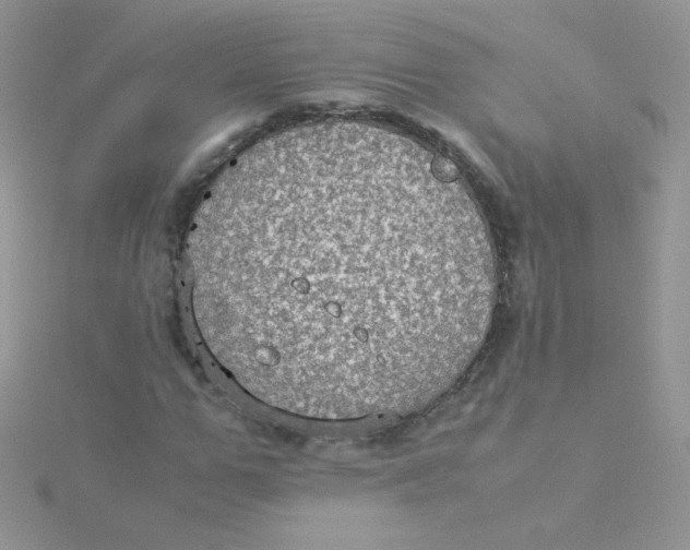 X0000115310967200911231326