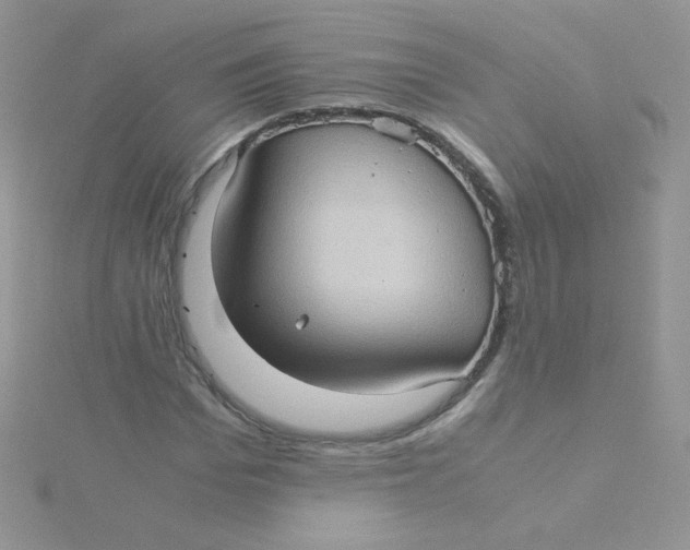 X0000115310969200911231326