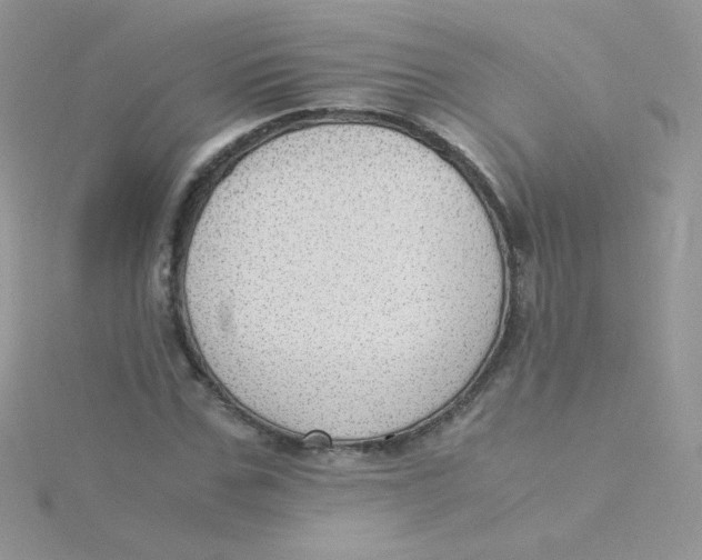 X0000115310971200911231326