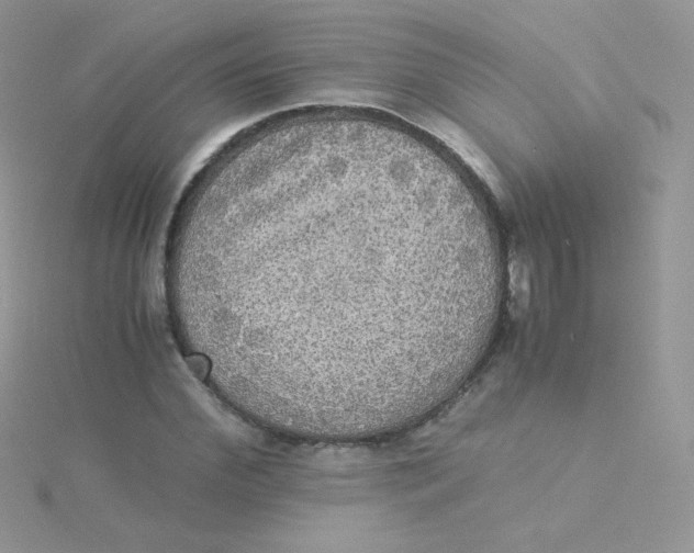 X0000115310972200911231326