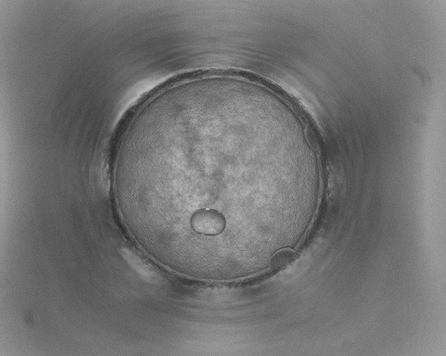 X0000115310973200911231326