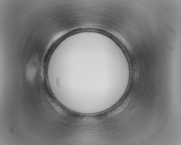 X0000115310974200911231326