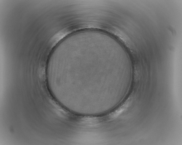 X0000115310977200911231326