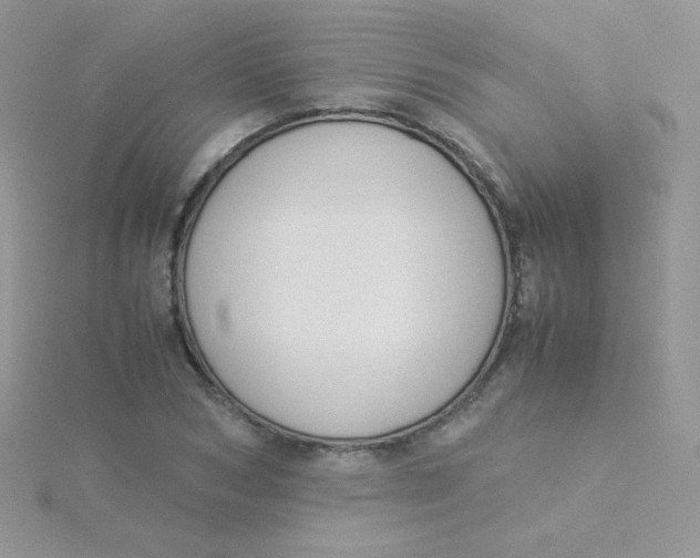 X0000115310978200911231326