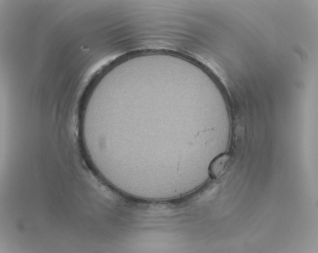 X0000115310979200911231326