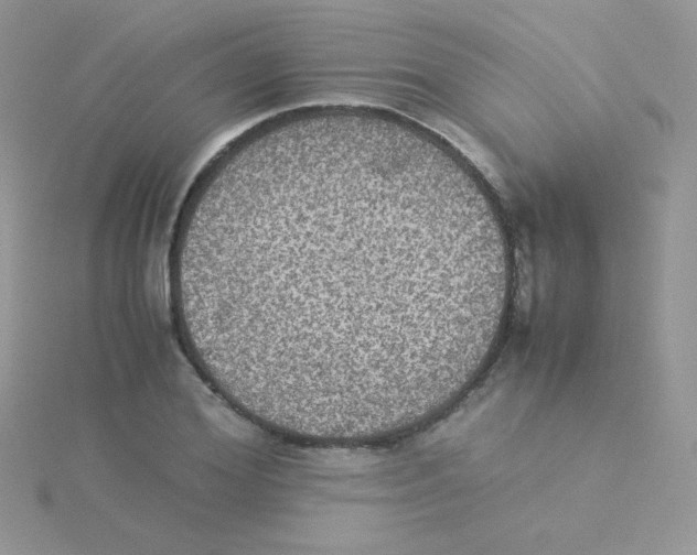 X0000115310980200911231326