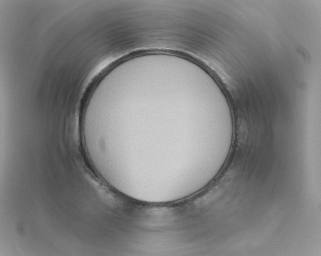 X0000115310982200911231326