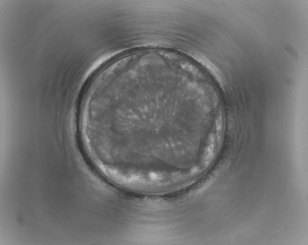 X0000115310983200911231326