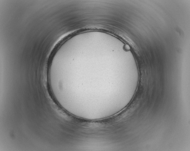 X0000115310984200911231326