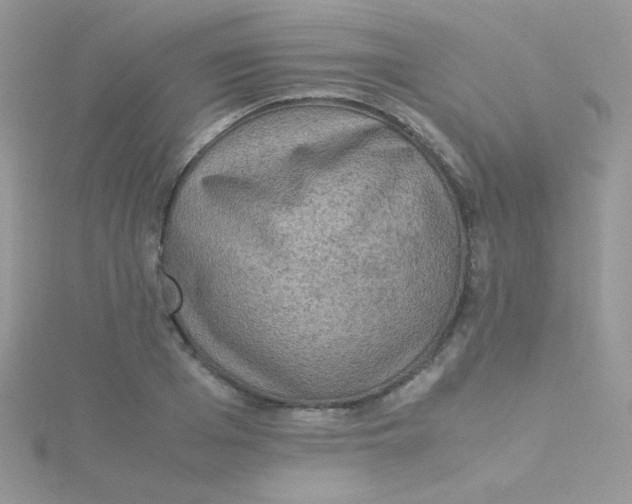 X0000115310985200911231325