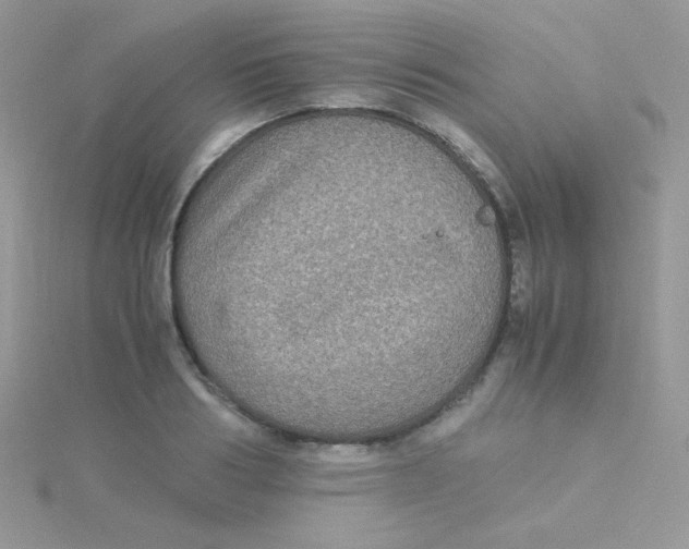 X0000115310986200911231325