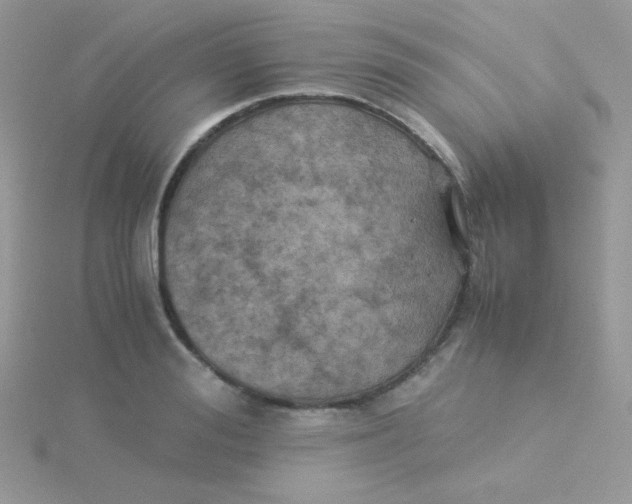 X0000115310988200911231325