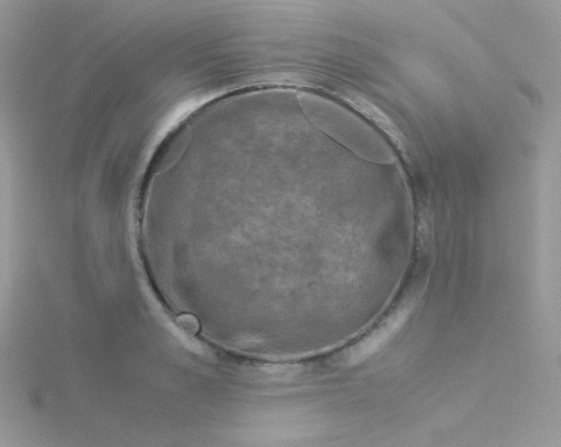 X0000115310989200911231325