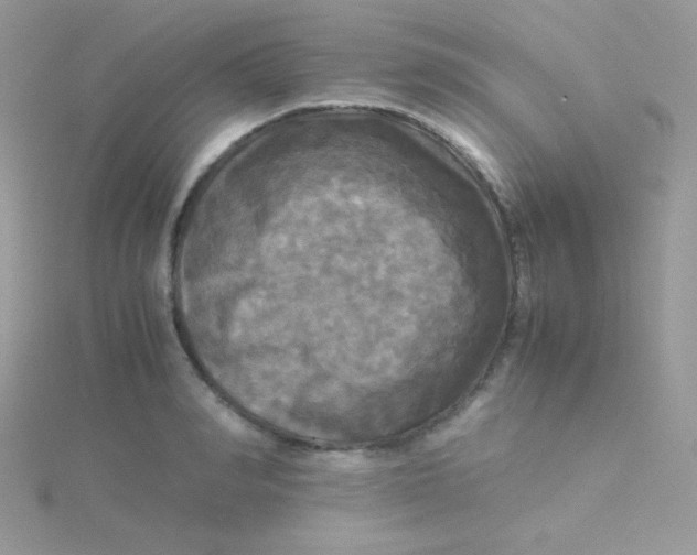 X0000115310990200911231325