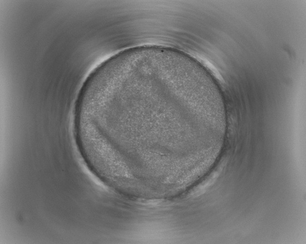 X0000115310991200911231325