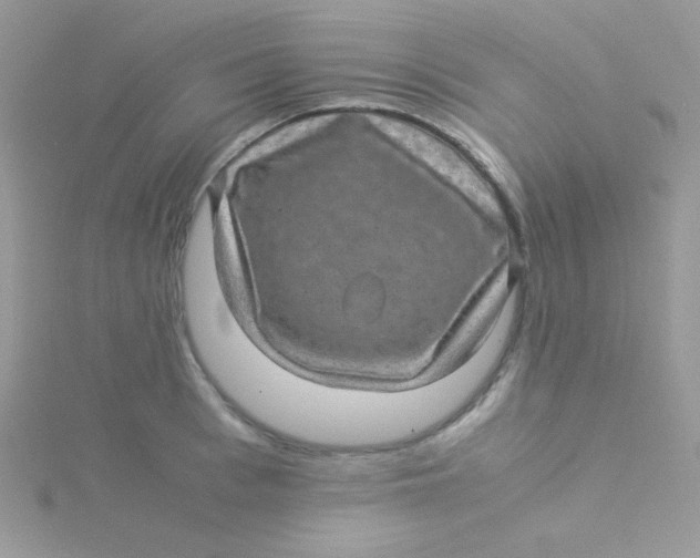 X0000115310993200911231325