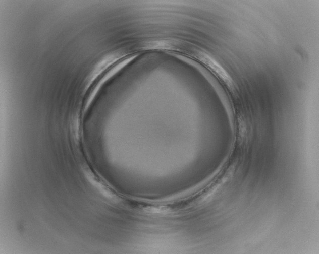 X0000115310994200911231325