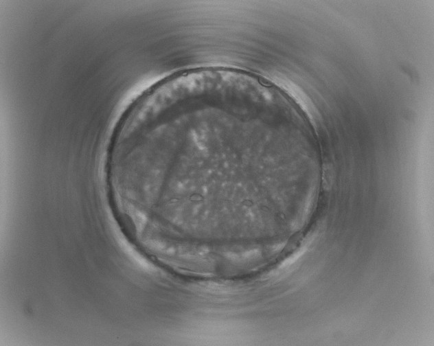 X0000115310995200911231325