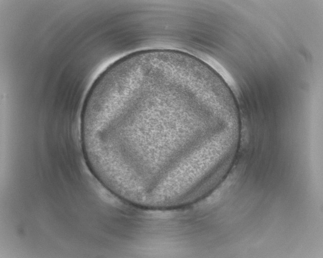 X0000115310996200911231325