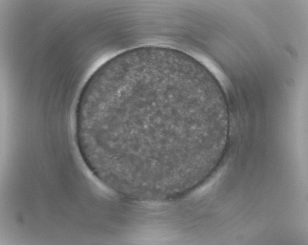 X0000115310999200911231325