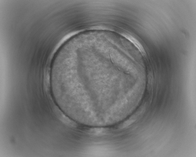 X0000115311000200911231325