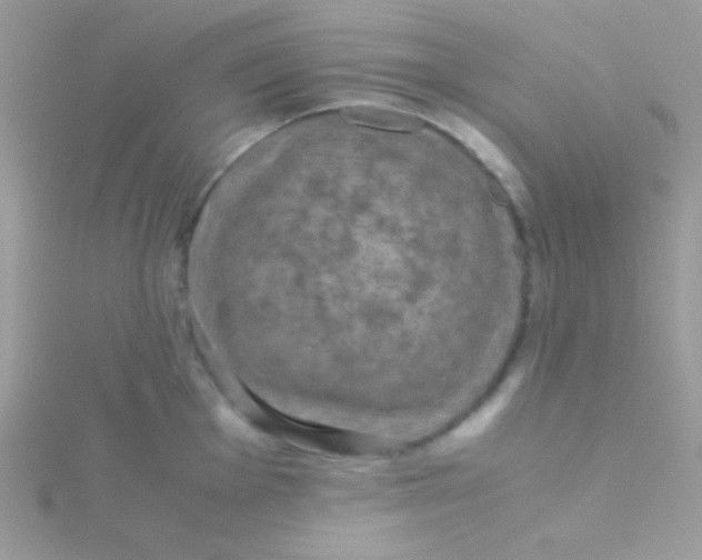 X0000115311001200911231325