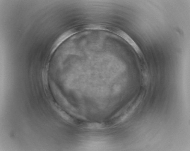 X0000115311002200911231325