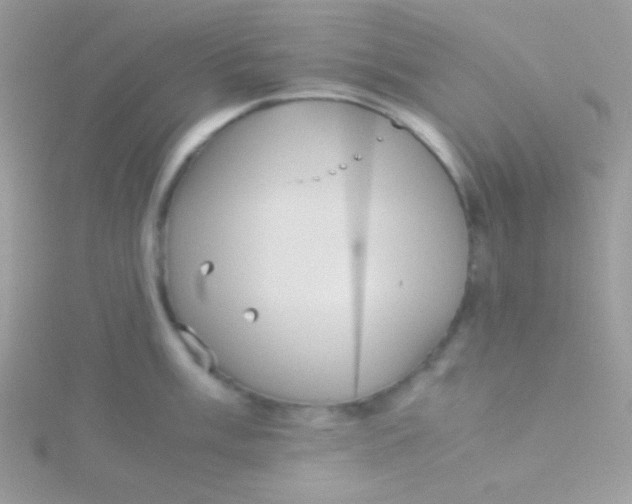 X0000115311003200911231325