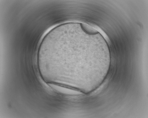 X0000115311004200911231325