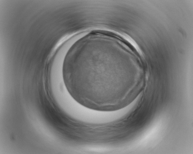 X0000115311005200911231325