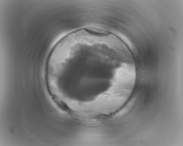 X0000115311007200911231325