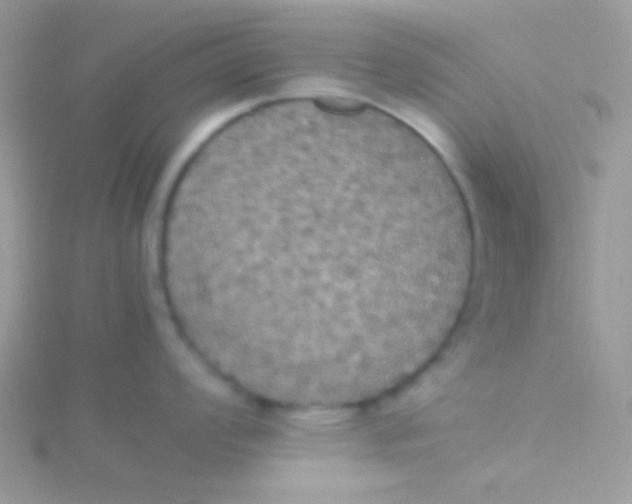 X0000115311008200911231325