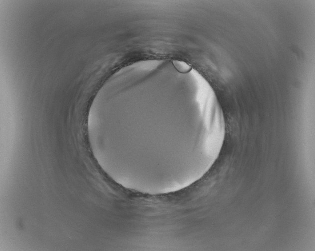 X0000115311009200911231325