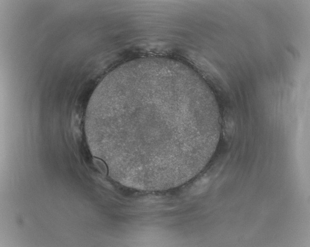 X0000115311010200911231325