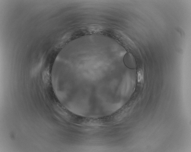 X0000115311011200911231325