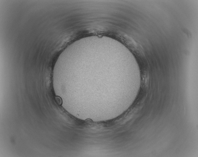 X0000115311012200911231325