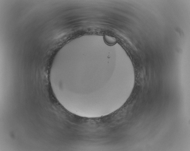 X0000115311013200911231325